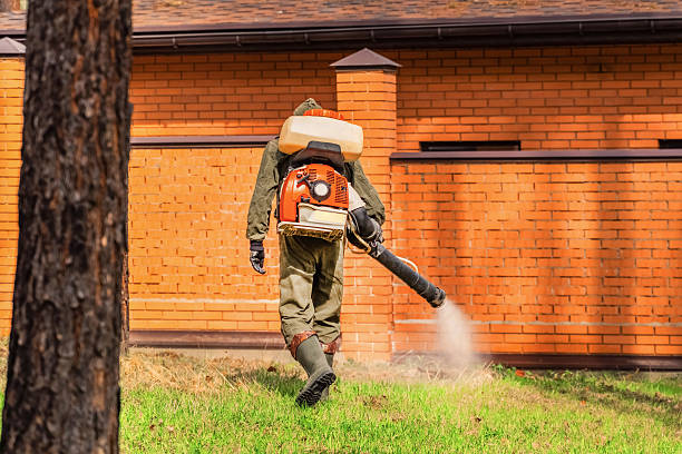 Trusted Mosquito Control service in East Lansdowne, PA - Nex Pest Control